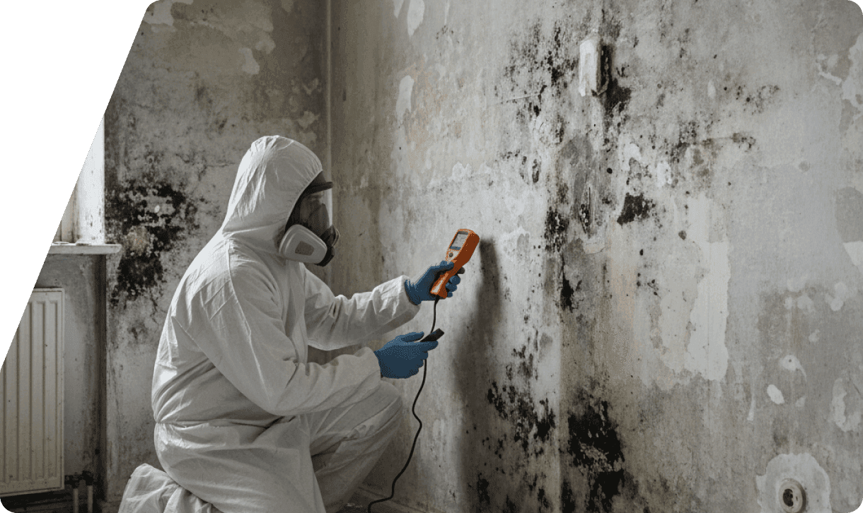 Beseitigung von Schimmel- und Feuchtigkeitsschäden